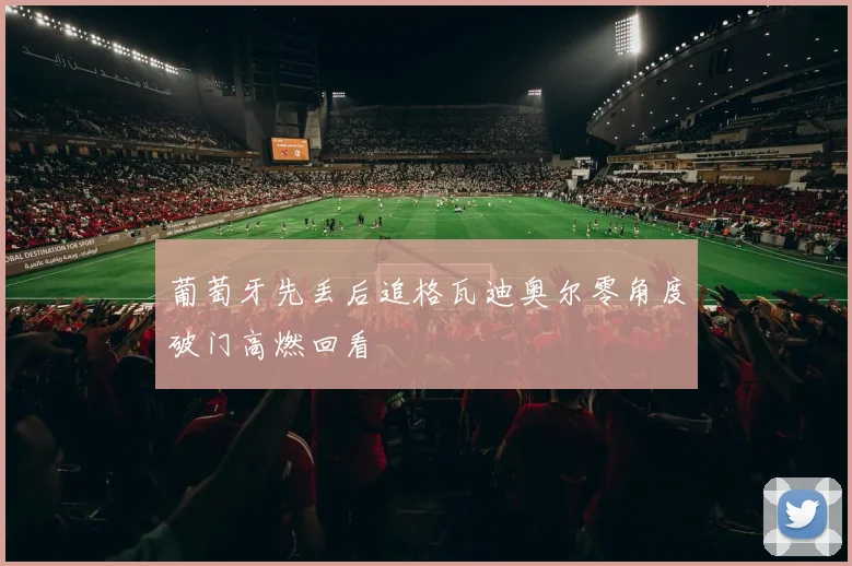 葡萄牙先丢后追格瓦迪奥尔零角度破门高燃回看