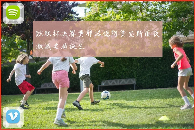 欧联杯决赛费耶诺德阿贾克斯雨夜激战名局诞生
