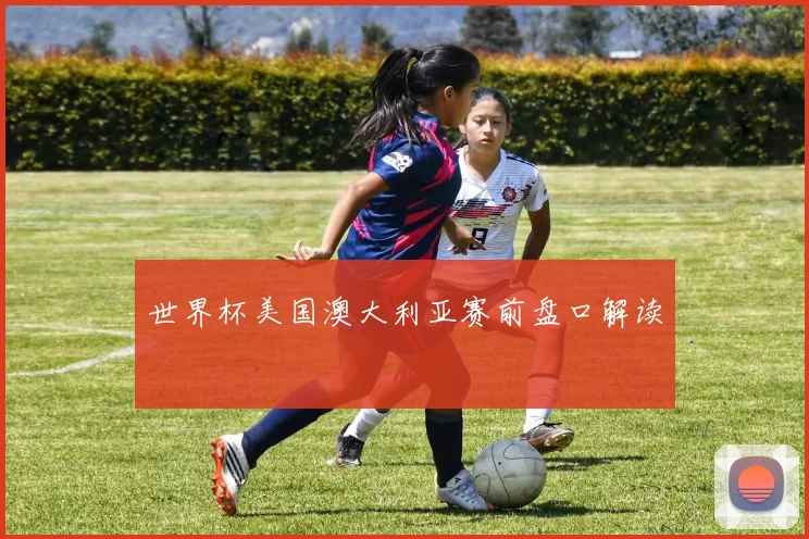 世界杯美国澳大利亚赛前盘口解读
