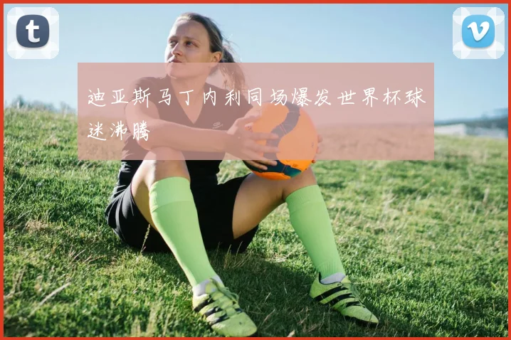 迪亚斯马丁内利同场爆发世界杯球迷沸腾