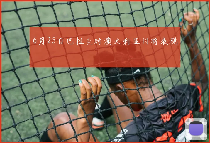6月25日巴拉圭对澳大利亚门将表现