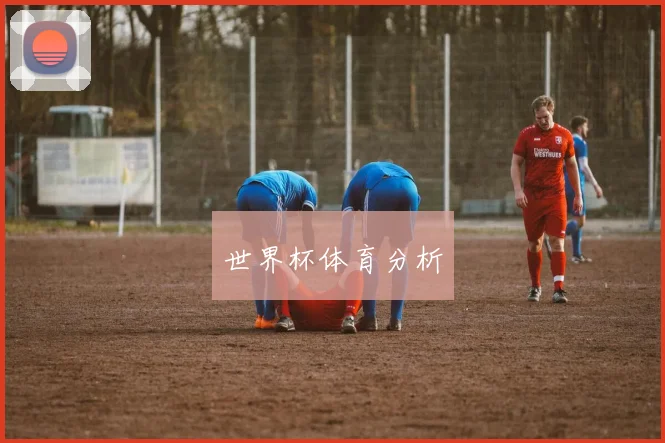 世界杯体育分析