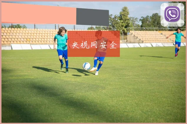 央视网安全
