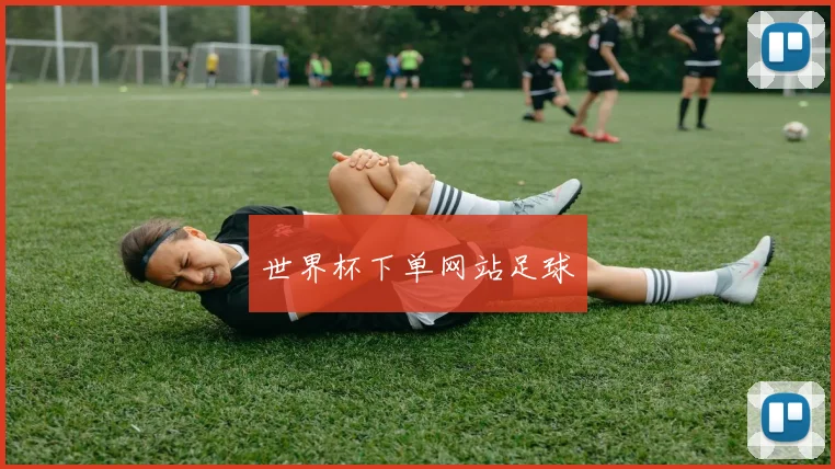 世界杯下单网站足球