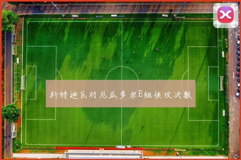 科特迪瓦对厄瓜多尔E组快攻次数