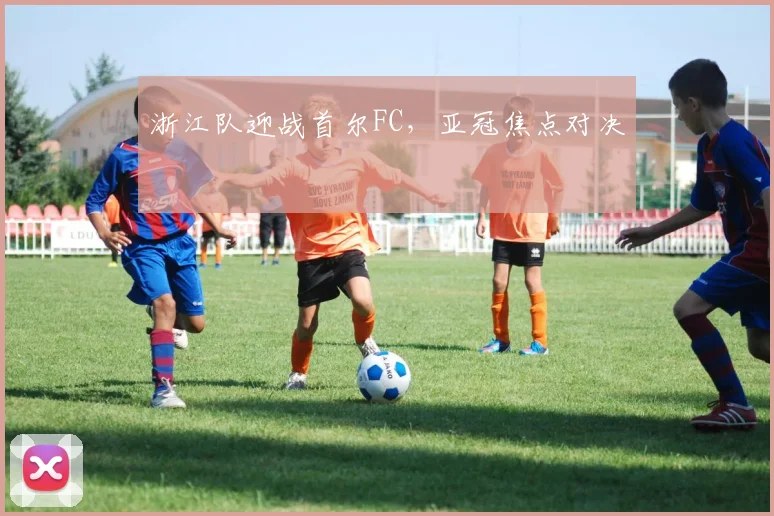 浙江队迎战首尔FC，亚冠焦点对决