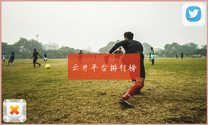 云开平台排行榜