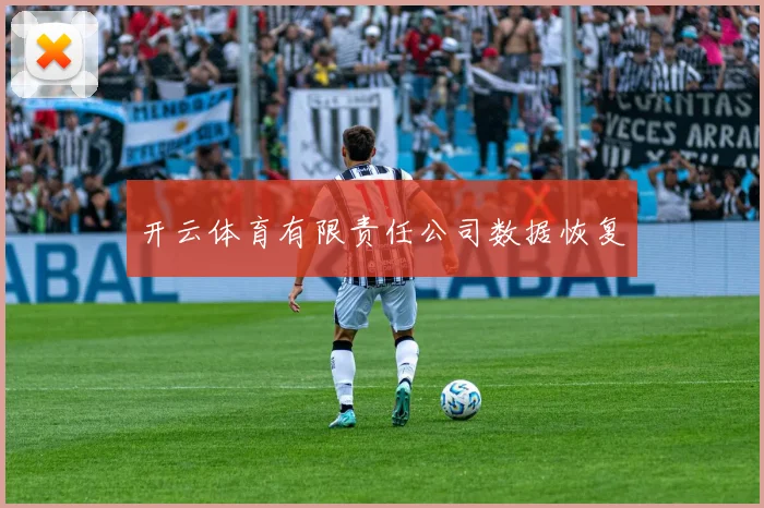开云体育有限责任公司数据恢复