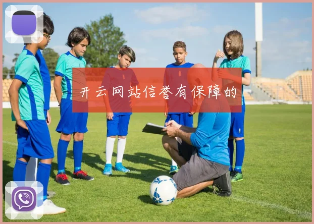 开云网站信誉有保障的