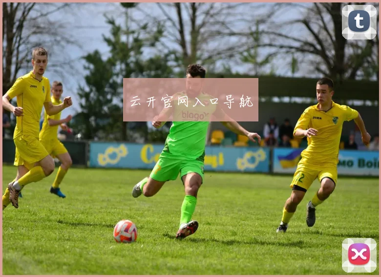 云开官网入口导航