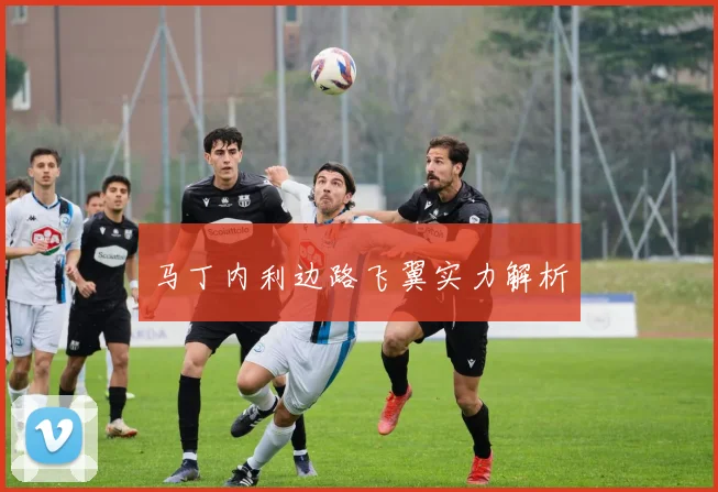 马丁内利边路飞翼实力解析