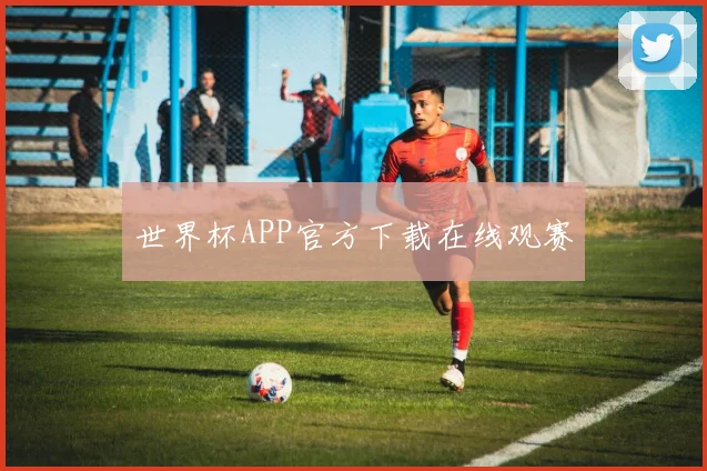 世界杯APP官方下载在线观赛