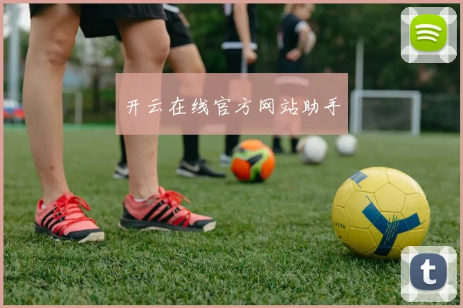 开云在线官方网站助手