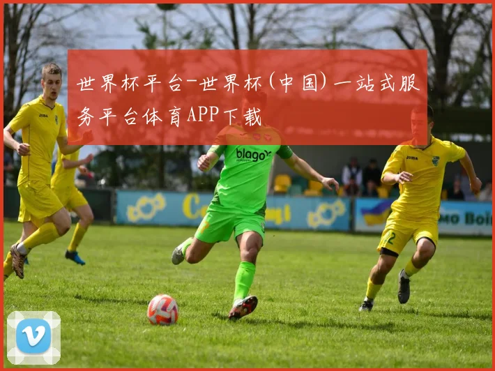 世界杯平台-世界杯(中国)一站式服务平台体育APP下载