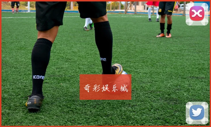奇彩娱乐城