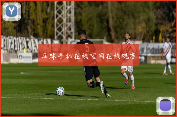 压球手机在线官网在线观赛