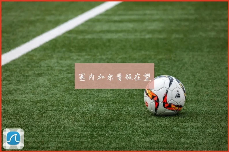 塞内加尔晋级在望