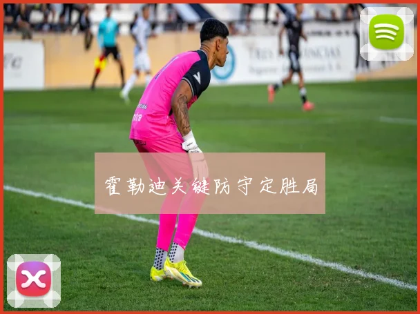 霍勒迪关键防守定胜局
