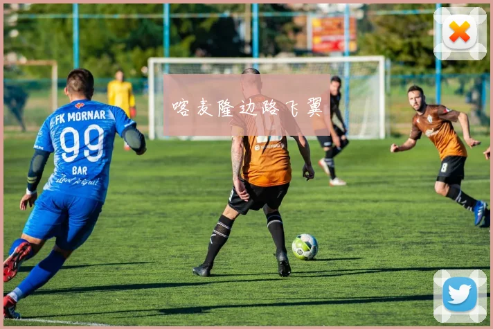 喀麦隆边路飞翼