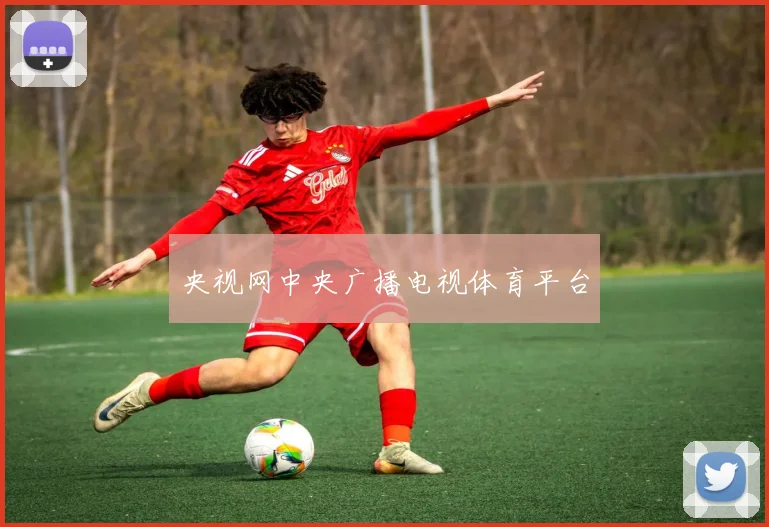 央视网中央广播电视体育平台