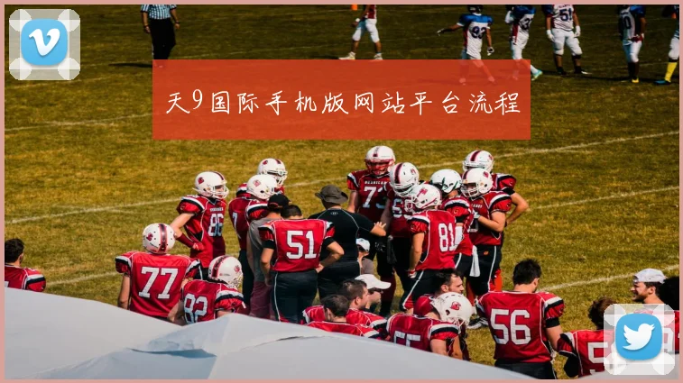 天9国际手机版网站平台流程