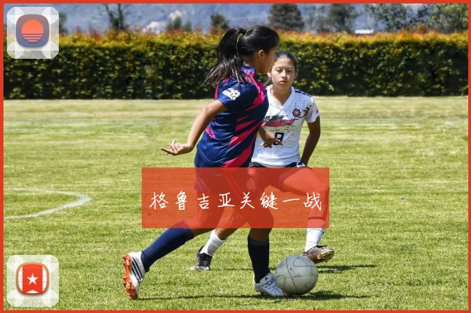 格鲁吉亚关键一战