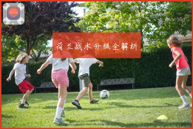 荷兰战术升级全解析