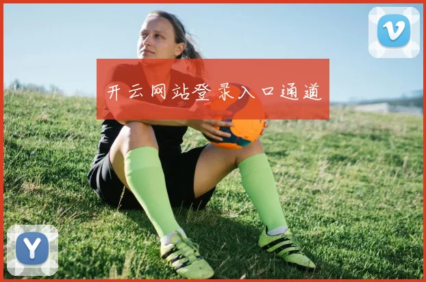 开云网站登录入口通道