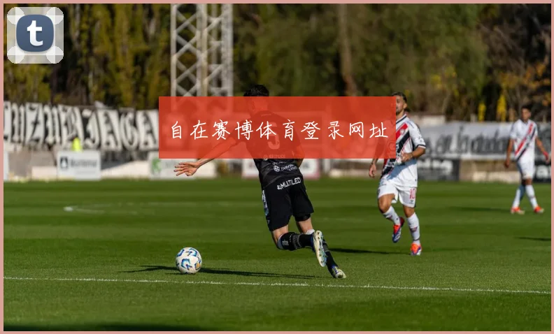 自在赛博体育登录网址