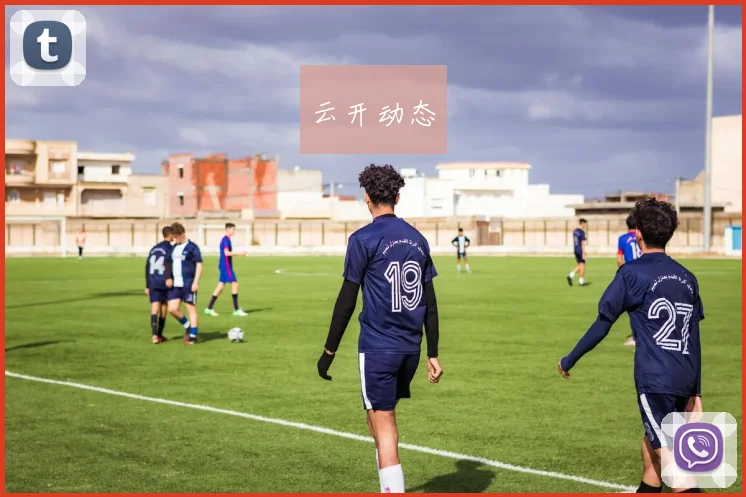 云开动态