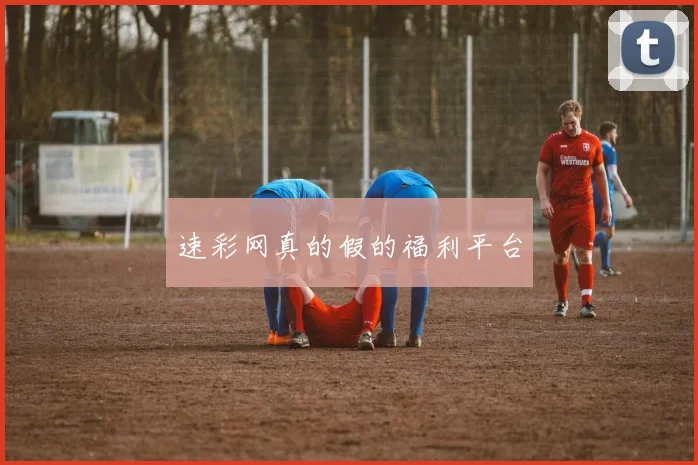 速彩网真的假的福利平台