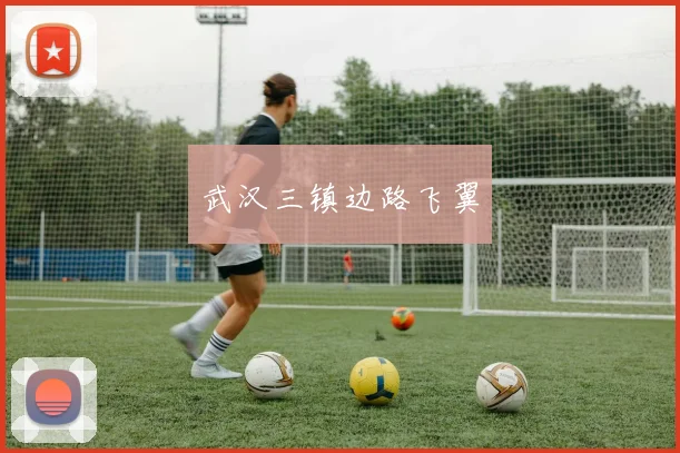 武汉三镇边路飞翼