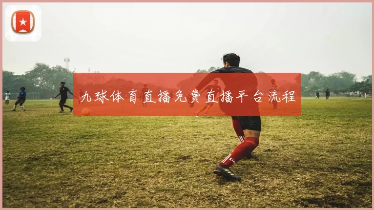九球体育直播免费直播平台流程