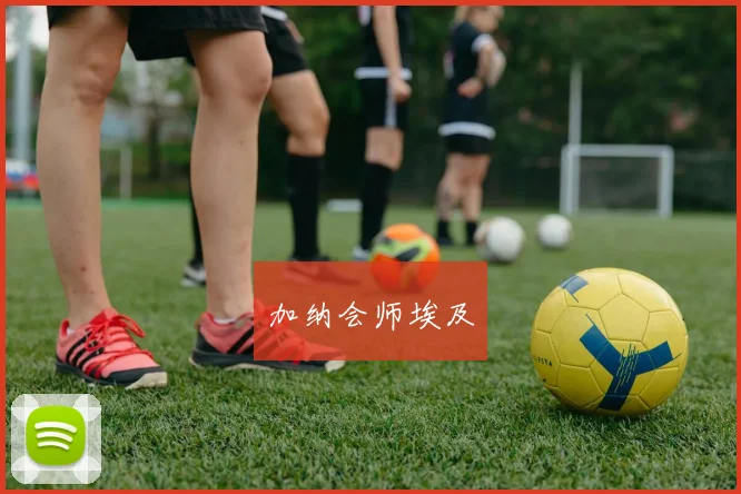 加纳会师埃及
